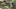 Vogelvlucht Nieuwsbrief 650X277